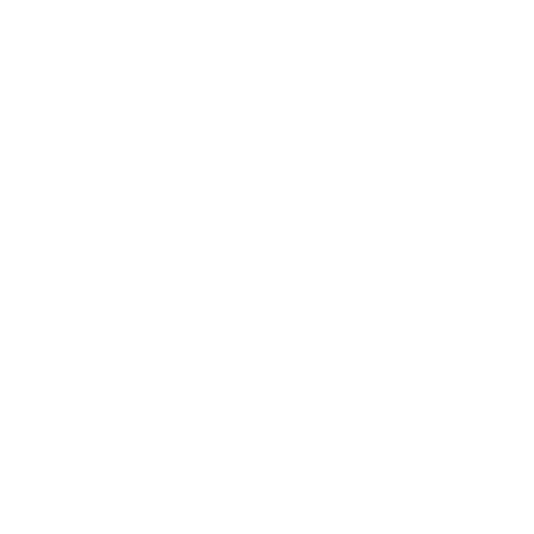 TURNAROUND APP BY SAS logo